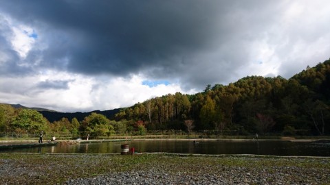 wkysidw5zhebkpowhawr_480_480-00008e02.jpg
