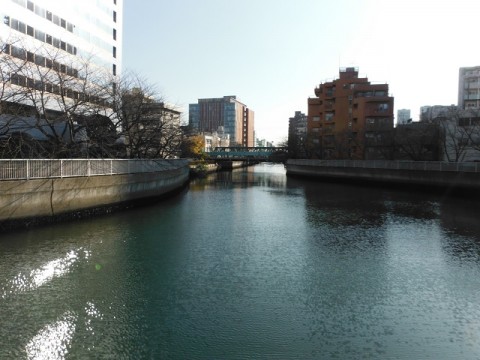 wkz49caj5e8hpp5gfenb_480_480-3f45bd96.jpg
