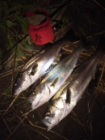 福島県からの釣果報告～