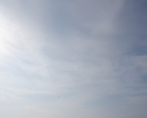 wmj4ibmyuyn9ktkbfydg_480_480-58a7a2ca.jpg