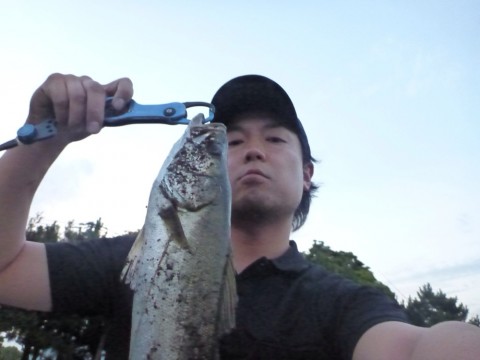 wmormgsgbgkm525x2iae_920_690-52eed077.jpg