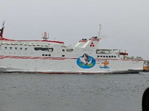 wmvimnu9j5i8pwiev57h_480_480-110a9278.jpg