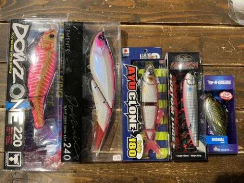 wmzjo9tzznszy6hid964_480_480-d7db5185.jpg