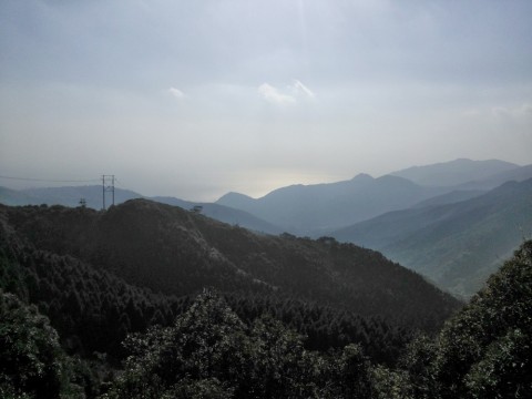 wndgk7utg34wu7jjxar5_480_480-cf3e0962.jpg