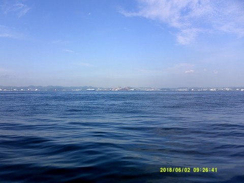 wnf3sm5vt5mktsr8397k_480_480-dcde17d3.jpg