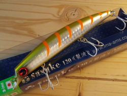 wnr5iu63ebikt94grhvy-685310c4.jpg