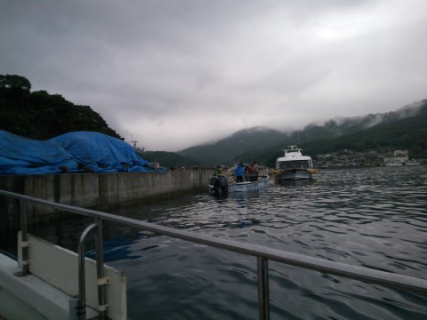 wnuajywfg4k25h62tt8i_920_690-6320ccc3.jpg
