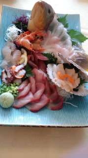 wnyi88b5d5pe3sn9ugw6-3358067d.jpg