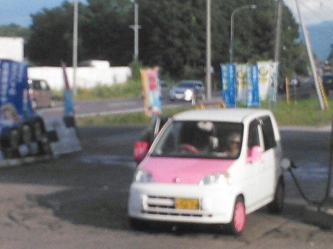 woadape4ibdrkeguasmu_920_690-8ae95185.jpg