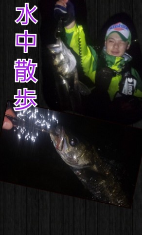 wofn3w5456nd27ze6xsp_559_920-05a4f7c6.jpg