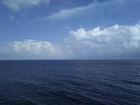 womyw7k4ugsbpnbudm7w_640_480-a1edb60d.jpg