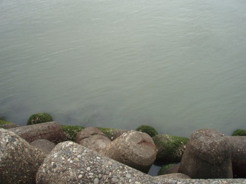 wopixo3ibeafco4mtk8x_480_480-7564f1c6.jpg