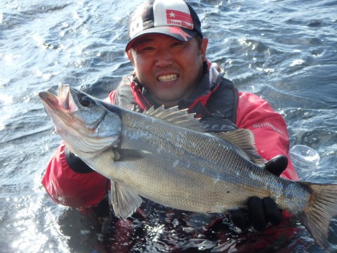 wp4uviiiokea97ywjru2_920_690-33e6e423.jpg