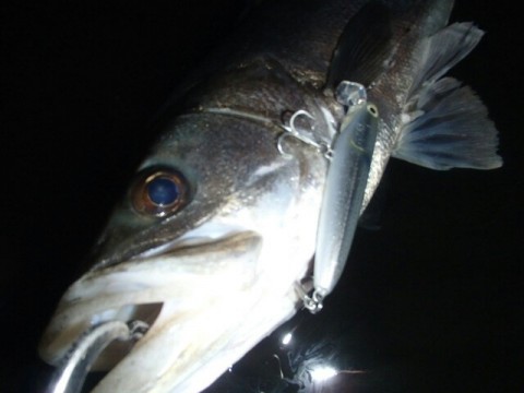 wp7daj3ewxvvgyhdwxmn_640_480-7d9cb476.jpg