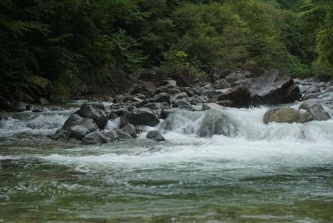 wp7wyhgue3ess38yam4o_480_480-802e10db.jpg