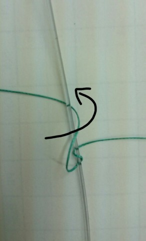 wpgkyd38dy9stky8re78_559_920-656432f4.jpg