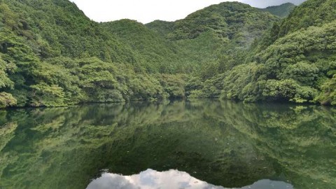 wpuueuo9gbjwwpfheugo_480_480-c01c3455.jpg