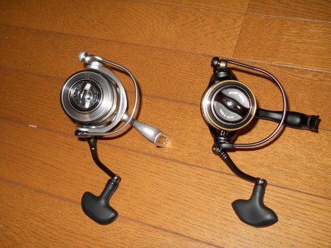 wr29idfzhtxf6pp7cz5d_480_480-22165e1e.jpg