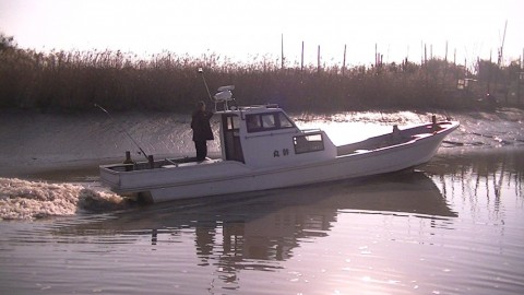 wr3vu2k8wu2gu8sdj35i_480_480-e4b62380.jpg