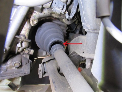 wrcmozofytcmkhxcewxw_480_480-d2276992.jpg