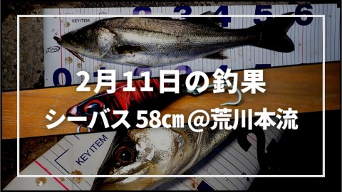 wrmvu6c2p8p2ow53o47t_480_480-b07f7a87.jpg