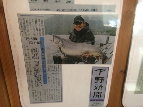 wrty59hahk9x7v3fr4jp_480_480-8b6ea738.jpg