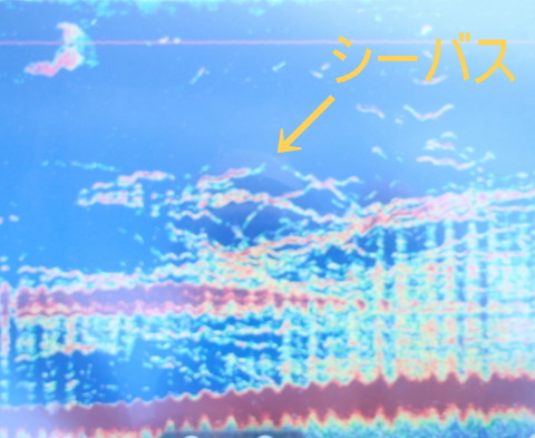 wrvpfto5w9xxgbpcnx2x-4504d470.jpg