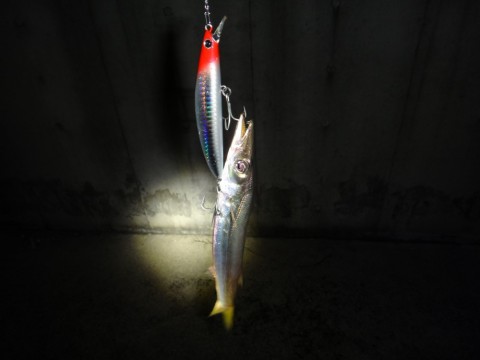 ws8spgrv76x28px8udx4_480_480-3025aa8a.jpg