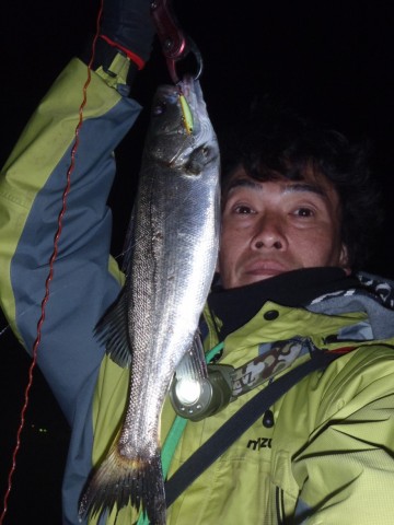 wsd9f4ezr6cwuu6e89ru_480_480-7e29b2d1.jpg