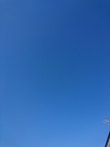 wspvzgnxtb7ozgo67xtj_690_920-9892329c.jpg