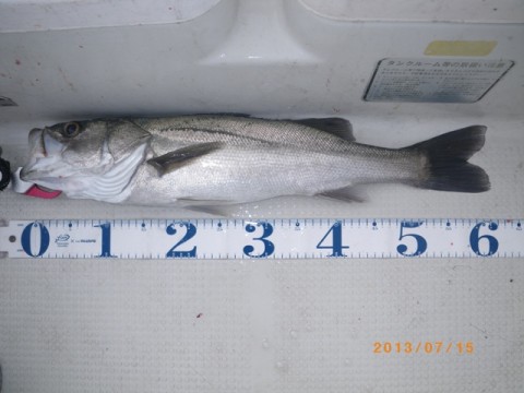 wsuyvdt4pxhi735wz6ui_480_480-8987c83e.jpg