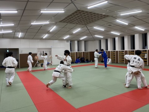 wsvpkmn9awa59abe2yip_480_480-59fb2401.jpg