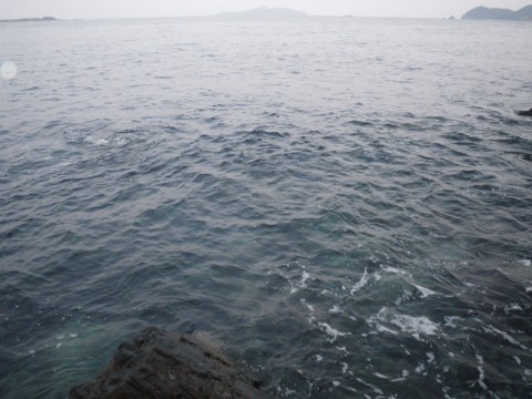 wt5t8j4djrxp7nof6umt_480_480-a0340ab2.jpg