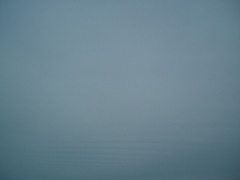 wt9x7rh9kofapw4uwpkc_480_480-62aee1f9.jpg