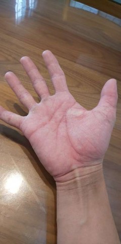wtdv3u9fdygephgntstp_480_480-f7d988d8.jpg