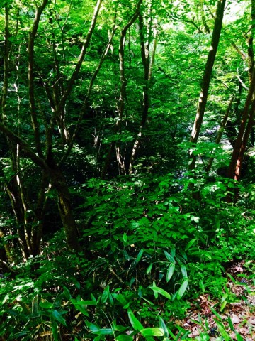 wtuiykvjsv2aiupg9oxb_690_920-97b10e9e.jpg
