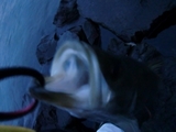 wtzfij5ph86bh8vvcnex-f112e7bd.jpg
