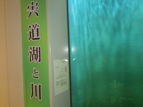wu44fs68mzb89xfr9sno_920_690-3dff1286.jpg