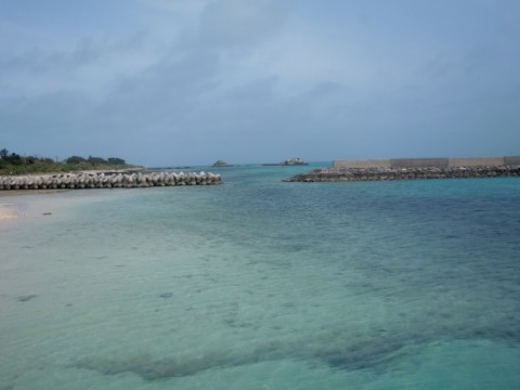 wu88sioiswji7xo9k5eh_480_480-ea6ab49c.jpg