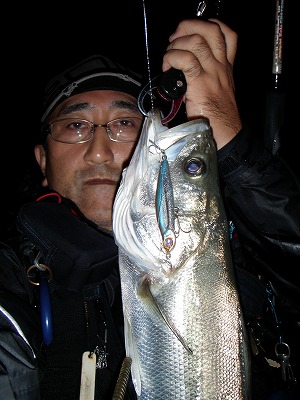 wuc69eupkipwg6xjj2s2-2337f477.jpg