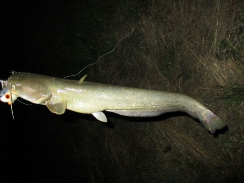 wuedmhu3v3bhoba4ycgb_920_690-40418608.jpg