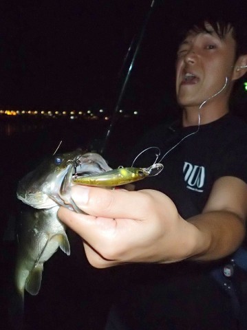 wuic8hpbk9k8gn8ks5o8_480_480-39c19cf0.jpg