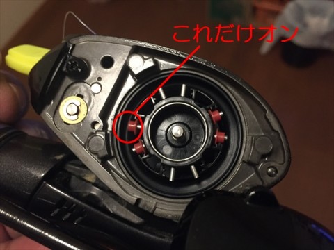 wuxcak895efkxwg2uoam_480_480-44d315d9.jpg