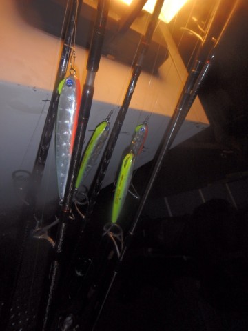 wuxonhe3x9zikn7y7kou_690_920-5bcd449e.jpg