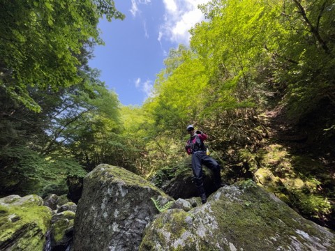 wv6jh69pt2ij2ar9o6zu_480_480-100da360.jpg