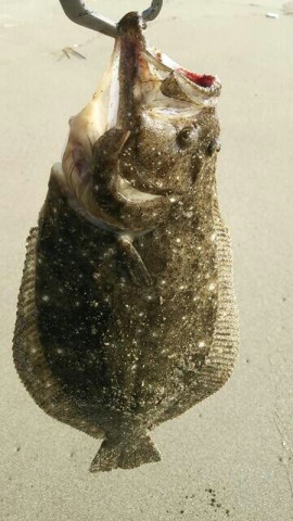 wv8u69hmjurfsemgwnph_360_640-5ebdaf8a.jpg