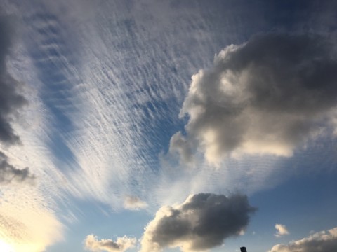 wvordfp4pu9nhj9ui7pj_920_690-e55867dc.jpg