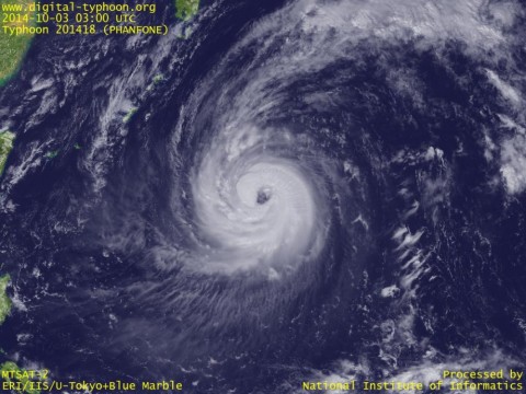 wvptbu6vbin7kjmjwnoy_480_480-c9b0b762.jpg