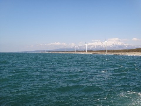 ww7id4rh323j2we8guwj_480_480-71427f76.jpg