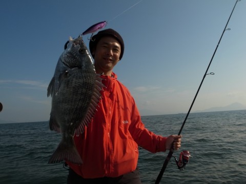 wwc6p35fx3ed4nc8uupy_480_480-9aa3772e.jpg